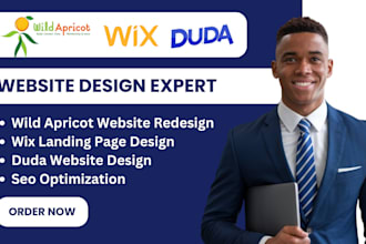 do weebly website showit website webwave webflow seo design clone 10web website