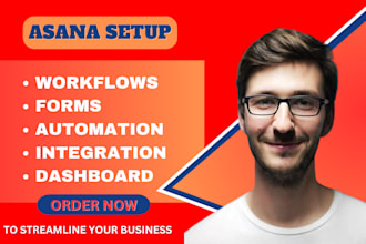 setup asana workspace asana workflow asana projects, be your asana consultant