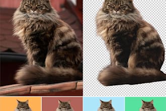 professionally remove, add or switch the background from your images