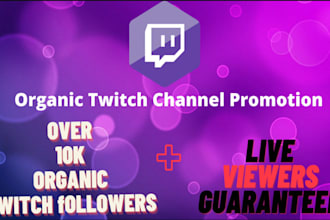 boost twitch with targeted promotion for more viewers