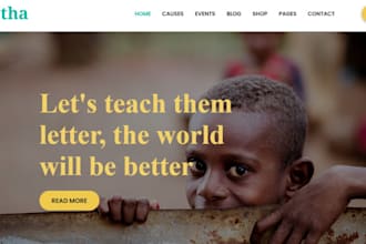 build nonprofit, ngo, charity websites