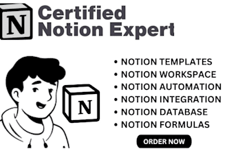setup notion business templates and databases 4u