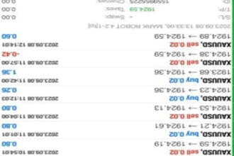 build forex trading bot, forex bot, forex ea bot, forex trading bot, trading bot
