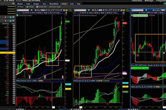 do dashboard, scanner or mtf for tradingview, metatrader, thinkorswim,mt4,mt5