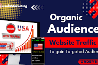 drive USA keyword niche targeted organic audience for sales