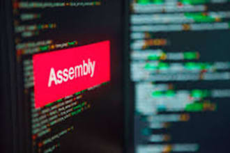 program and optimize arm assembly code for embedded systems