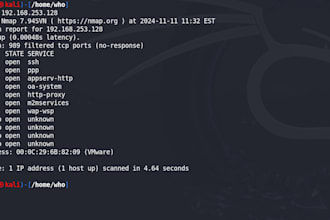 do penetration testing on web application