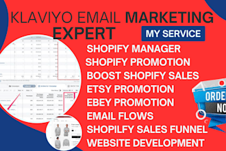 setup klaviyo email marketing flows for ebay sales etsy traffic shopify marketin