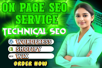 do on page SEO technical service for wordpress, wix, shopify website