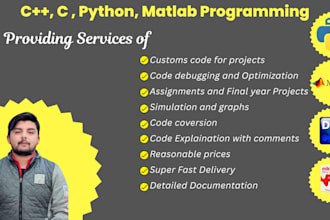 do cpp , c , python, matlab programming for your projects