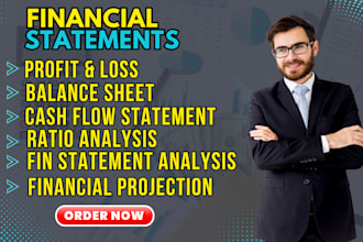 prepare financial statements, profit and loss and financial projection