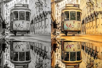 colorize white and black photos