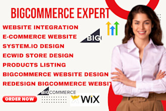 design premium bigcommerce store website ecwid store design