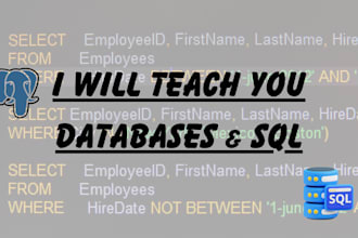 teach you databases and sql
