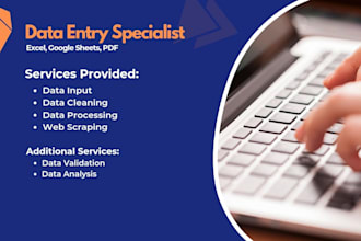 provide fast data entry and virtual assistant services