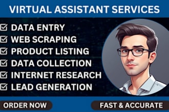 do data entry, web scraping, file conversion, and copy paste