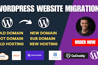 migrate to wordpress website fix domain and dns issues elementor godaddy expert