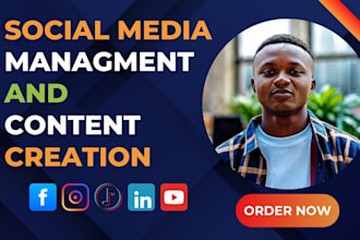 be your social media manager, content creation, instagram and linkedin marketing