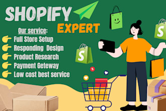 setup and manage shopify facebook ads and instagram ads campaign