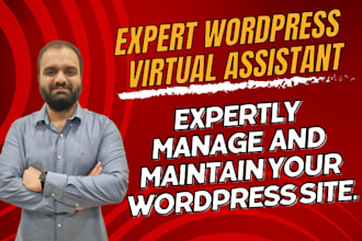 be expert wordpress manager for website maintenance security and troubleshooting