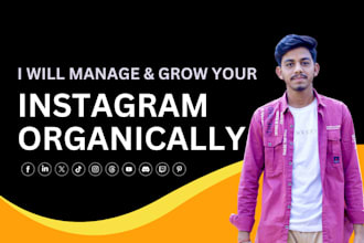 organically grow your instagram for super fast organic growth