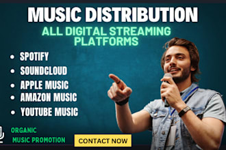 do music distribution to all streaming platform music publishing music promotion