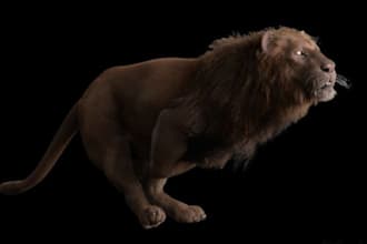 3d character model, 3d animal character, character rigging and animation