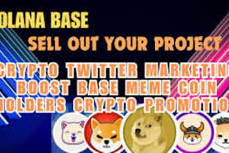 raise 500m solana investors base solana meme coin promotion, meme coin marketing