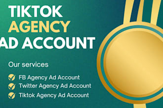 create tiktok ads agency account and setup campaign optimization