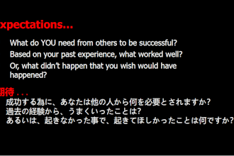 translate a professional and accurate english and japanese document