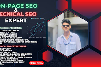 do on page SEO for you and help increase traffic to your website