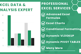 do excel data analysis, mis reports, and add dynamic features