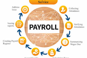 provide payroll services and data entry or assignments