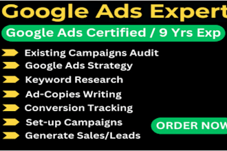 set up, manage, and optimize highly profitable google ads and PPC campaigns