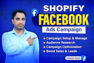 do effective facebook and  instagram ads campaign