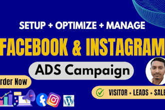 setup facebook ads campaign and instagram ads for leads and sales