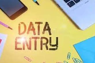 do data mining, web research, copy paste and excel data entry jobs
