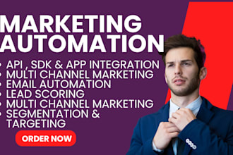 setup hubspot insider activecampaign braze thryv mailchimp marketing automation