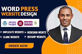 build, duplicate, revamp, redesign, transfer, clone design any wordpress website