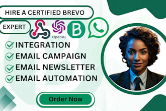set up bravo, brevo, bravo CRM, brevo automation, mailchimp on email marketing