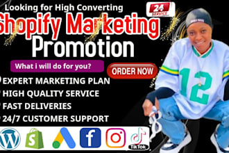 do shopify marketing, sales funnel, shopify manager, shopify promotion, mentor