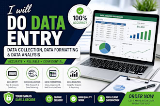 do data entry, data collection, data formatting and analysis