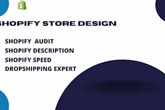 audit, review, and optimize your shopify dropshipping store