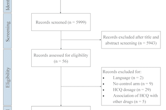 perform comprehensive review and meta analysis