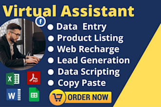 do data entry typing work job, copy paste, excel data entry