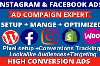 run facebook ads campaign instagram promotion fb advertising meta ads manager