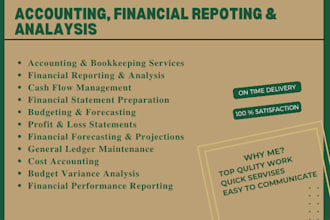 do accounting, financial reporting, analysis, projections and forecasting