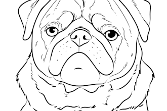create black and white pet portrait from your photo