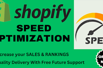manage shopify speed optimization expertspeed up your shopify storesite