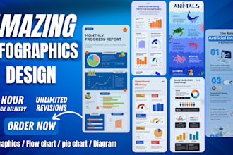 professionally designed infographics for your business
